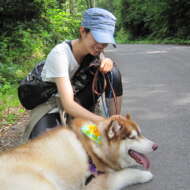 <br />
<b>Warning</b>:  Undefined variable $userID in <b>/home/petwa/pochi-tama.net/public_html/wp-content/themes/pet/single.php</b> on line <b>278</b><br />
なおこ