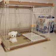 <br />
<b>Warning</b>:  Undefined variable $userID in <b>/home/petwa/pochi-tama.net/public_html/wp-content/themes/pet/single-volunteer.php</b> on line <b>198</b><br />
ぐらたんまま