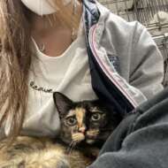 <br />
<b>Warning</b>:  Undefined variable $userID in <b>/home/petwa/pochi-tama.net/public_html/wp-content/themes/pet/single.php</b> on line <b>278</b><br />
あおきば