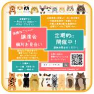 <br />
<b>Warning</b>:  Undefined variable $userID in <b>/home/petwa/pochi-tama.net/public_html/wp-content/themes/pet/single-joutokai.php</b> on line <b>148</b><br />
保護猫サロン　ネコトクラッセ