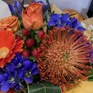 <br />
<b>Warning</b>:  Undefined variable $userID in <b>/home/petwa/pochi-tama.net/public_html/wp-content/themes/pet/single.php</b> on line <b>278</b><br />
ちびな