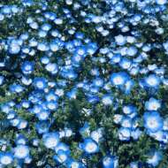 <br />
<b>Warning</b>:  Undefined variable $userID in <b>/home/petwa/pochi-tama.net/public_html/wp-content/themes/pet/single.php</b> on line <b>278</b><br />
harunohi