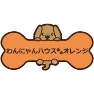 <br />
<b>Warning</b>:  Undefined variable $userID in <b>/home/petwa/pochi-tama.net/public_html/wp-content/themes/pet/single-joutokai.php</b> on line <b>148</b><br />
わんにゃんハウス・オレンジ