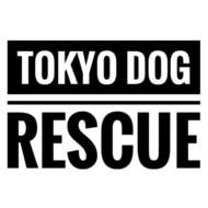 <br />
<b>Warning</b>:  Undefined variable $userID in <b>/home/petwa/pochi-tama.net/public_html/wp-content/themes/pet/single.php</b> on line <b>278</b><br />
東京ドッグレスキュー