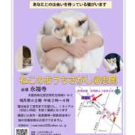 <br />
<b>Warning</b>:  Undefined variable $userID in <b>/home/petwa/pochi-tama.net/public_html/wp-content/themes/pet/single-joutokai.php</b> on line <b>148</b><br />
ねこのおうちさがし和泉支部