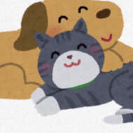 <br />
<b>Warning</b>:  Undefined variable $userID in <b>/home/petwa/pochi-tama.net/public_html/wp-content/themes/pet/single.php</b> on line <b>278</b><br />
広島いぬねこ幸せ探し