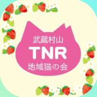 <br />
<b>Warning</b>:  Undefined variable $userID in <b>/home/petwa/pochi-tama.net/public_html/wp-content/themes/pet/single.php</b> on line <b>278</b><br />
武蔵村山ＴＮＲ地域猫の会