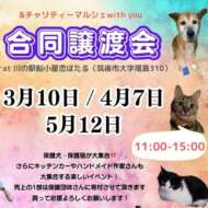 <br />
<b>Warning</b>:  Undefined variable $userID in <b>/home/petwa/pochi-tama.net/public_html/wp-content/themes/pet/single-joutokai.php</b> on line <b>148</b><br />
with you