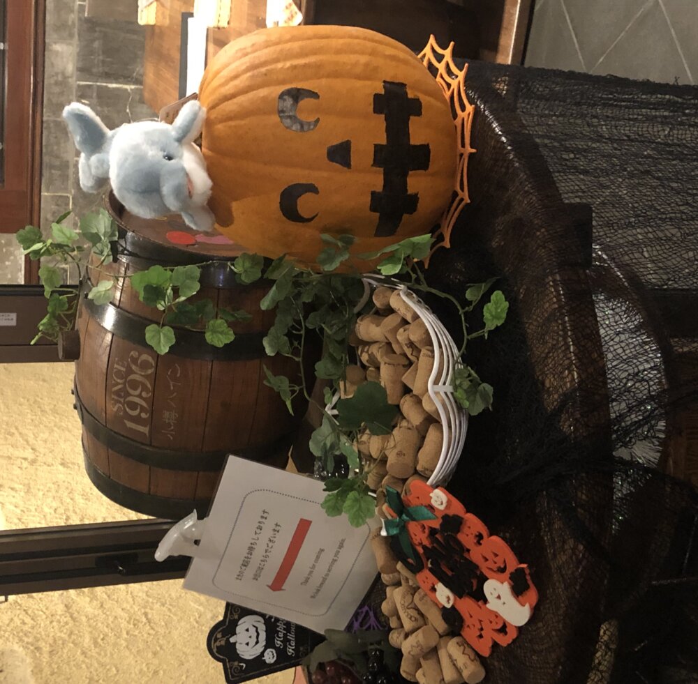 <br />
<b>Warning</b>:  Undefined variable $userID in <b>/home/petwa/pochi-tama.net/public_html/wp-content/themes/pet/single.php</b> on line <b>278</b><br />
マーブル＿チョコ