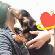 <br />
<b>Warning</b>:  Undefined variable $userID in <b>/home/petwa/pochi-tama.net/public_html/wp-content/themes/pet/single.php</b> on line <b>278</b><br />
ぽかぽか