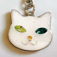 <br />
<b>Warning</b>:  Undefined variable $userID in <b>/home/petwa/pochi-tama.net/public_html/wp-content/themes/pet/single.php</b> on line <b>278</b><br />
あちぇ50