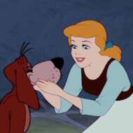 <br />
<b>Warning</b>:  Undefined variable $userID in <b>/home/petwa/pochi-tama.net/public_html/wp-content/themes/pet/single.php</b> on line <b>278</b><br />
しほ